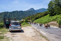 Des rencontres sur la route