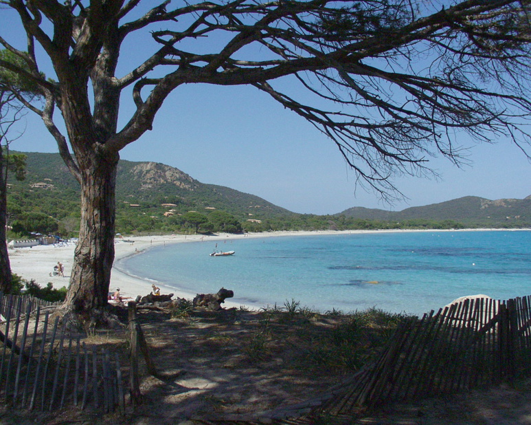 Plage du Tamaricciu dans le Top des plus belles plages de france encore et toujours en 2016