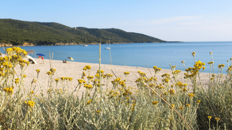 La plage de Cupabia