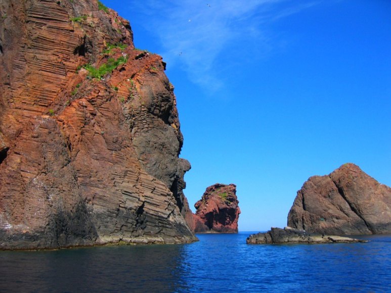 Les orgues grantiques Les orgues grantiques