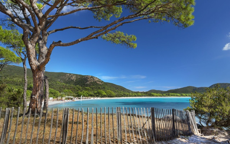 Porto Vecchio, toujours la star