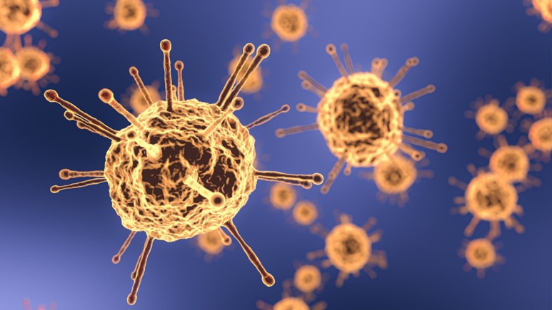 Coronavirus Coronavirus