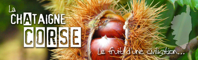 Châtaigne et chataigniers en Corse Châtaigne et chataigniers en Corse
