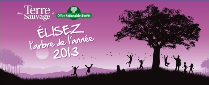 Arbre de l'année 2013