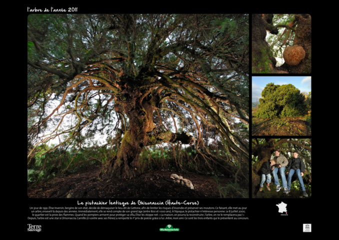 Le Lentisque Pistachier, lauréat 2012 Le Lentisque Pistachier, lauréat 2012