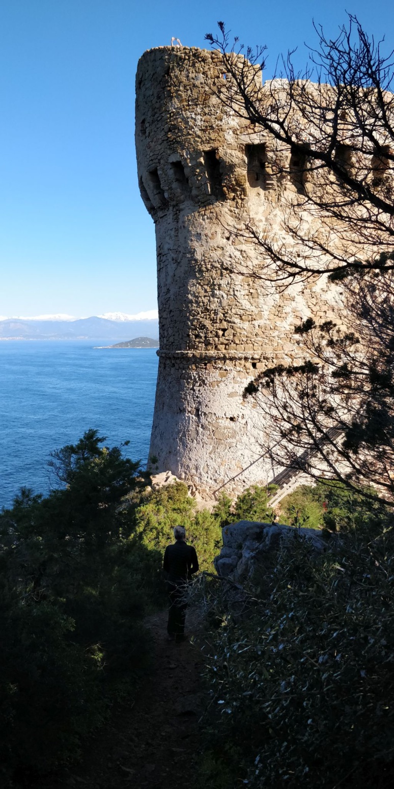 La tour de Capo di Muro La tour de Capo di Muro