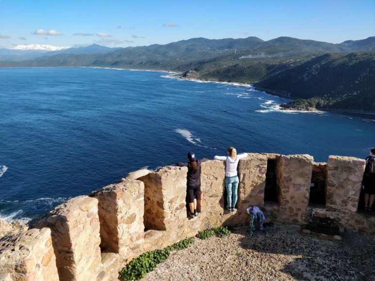 La tour de Capo di Muro La tour de Capo di Muro