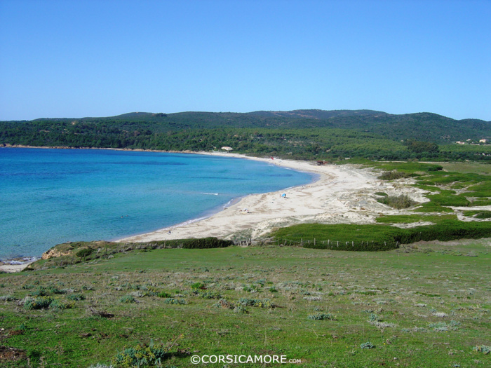 Capo di Feno, la plage à la mode
