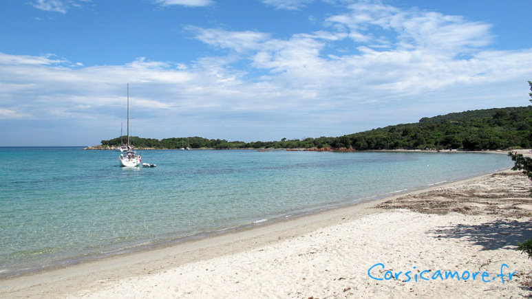 10 bonnes raisons de venir en Corse en Automne