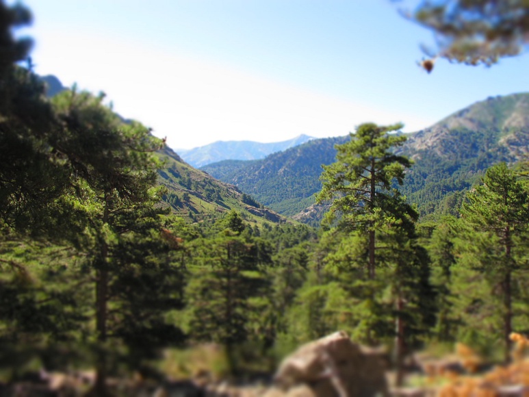 10 bonnes raisons de venir en Corse en Automne