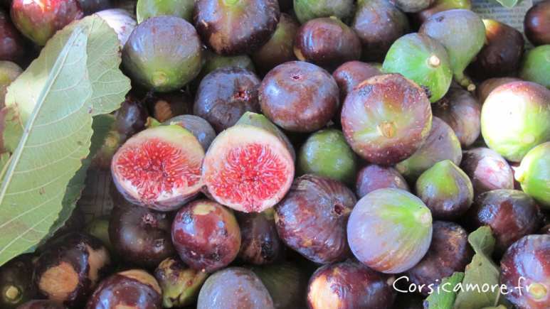 Figues Corses ©Corsicamore Figues Corses ©Corsicamore