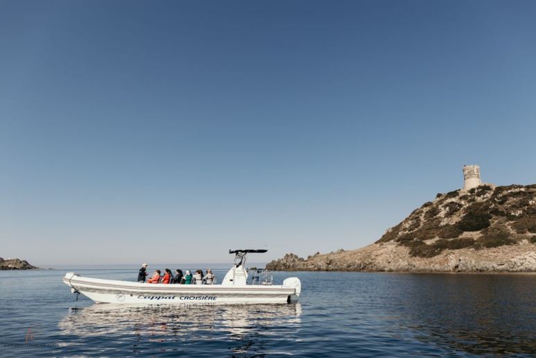 Ballade en mer - Iles Sanguinaires