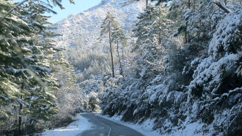 Webcam du tunnel de Bastia Webcam du tunnel de Bastia