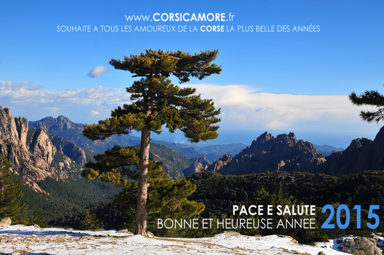Pace e salute - Bonne année