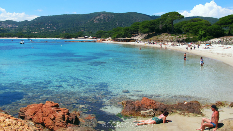 Palombaggia en Juillet