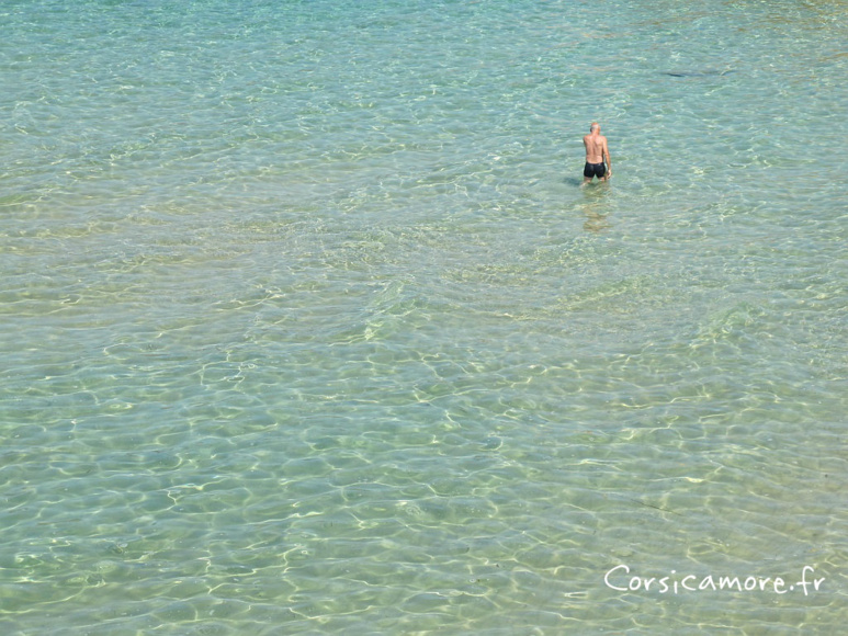 Plage de corse