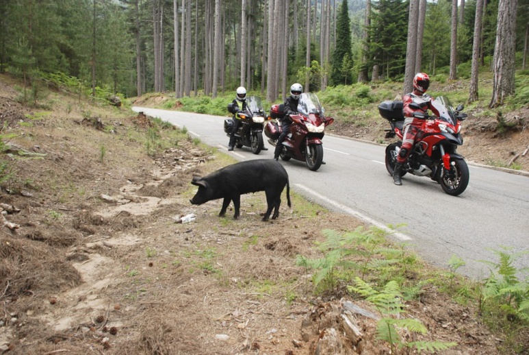 La Corse en moto