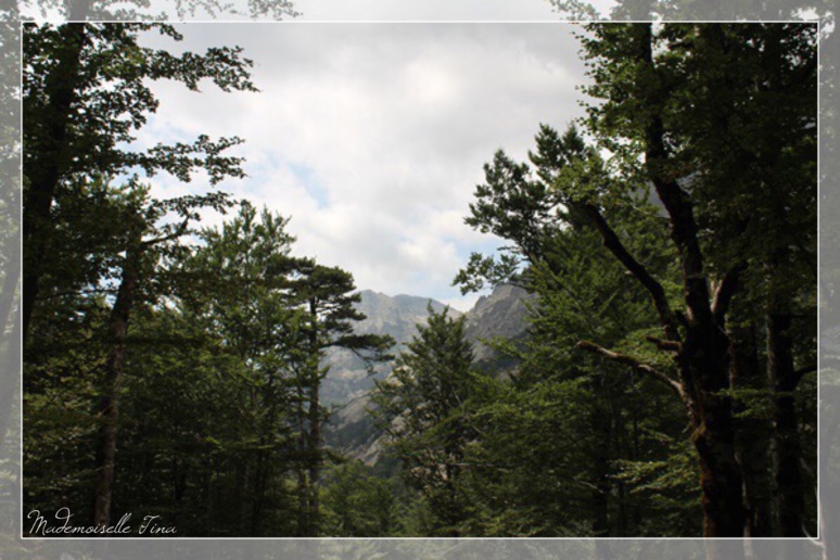 La Cascade des Anglais - A Foce Di Vizzavona La Cascade des Anglais - A Foce Di Vizzavona