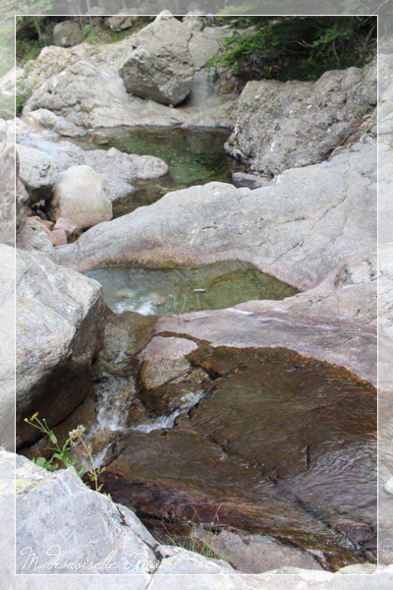 Les différentes piscines pour la baignade Les différentes piscines pour la baignade