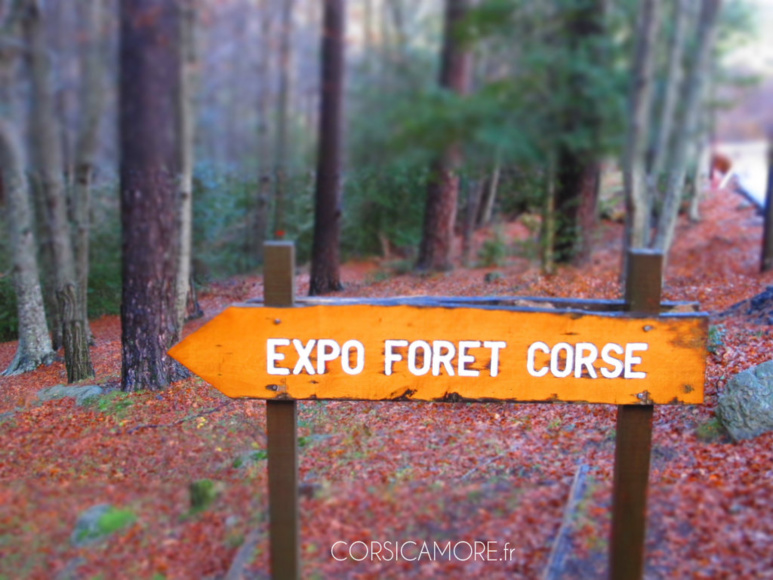 Quoi faire en Corse à la Toussaint