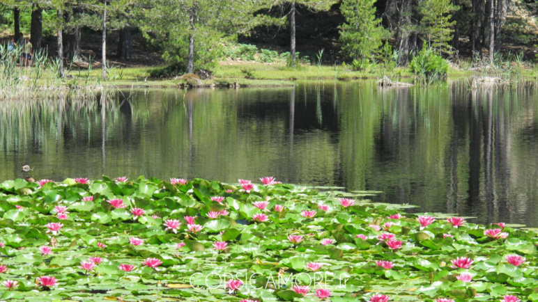 Quoi faire en Corse à la Toussaint Quoi faire en Corse à la Toussaint