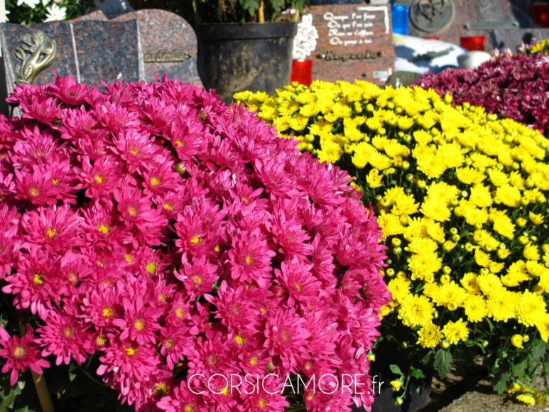 La Toussaint en Corse La Toussaint en Corse