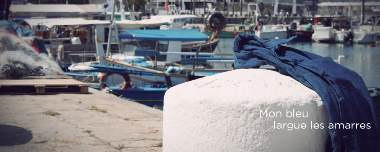 Un bleu de chine pour noel.... Un bleu de chine pour noel....