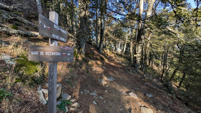 Randonnée à la journée en Corse : n'oubliez pas le col de Vizzavona Randonnée à la journée en Corse : n'oubliez pas le col de Vizzavona
