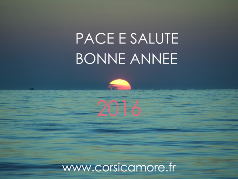 Bonne et heureuse année 2016