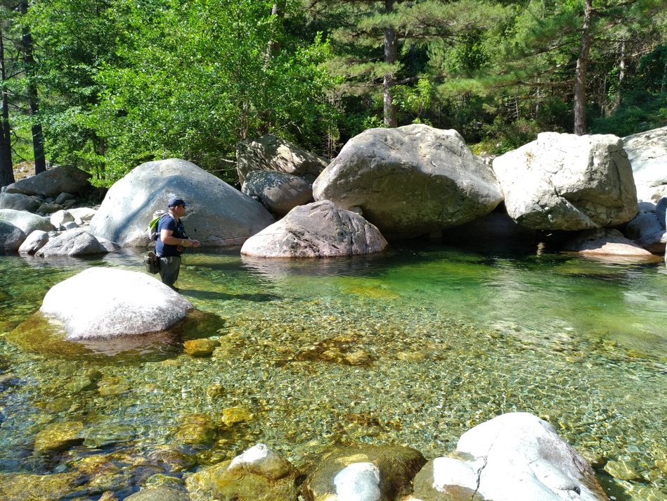 Pêche à la truite en Corse : le guide complet pour les passionnés