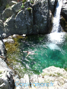 Du flocon à la vague Du flocon à la vague