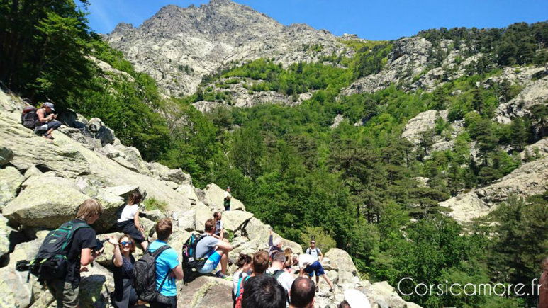 Du flocon à la vague Du flocon à la vague