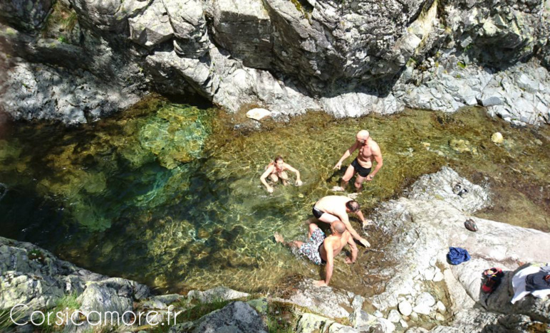 Du flocon à la vague Du flocon à la vague