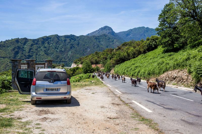 Des rencontres sur la route