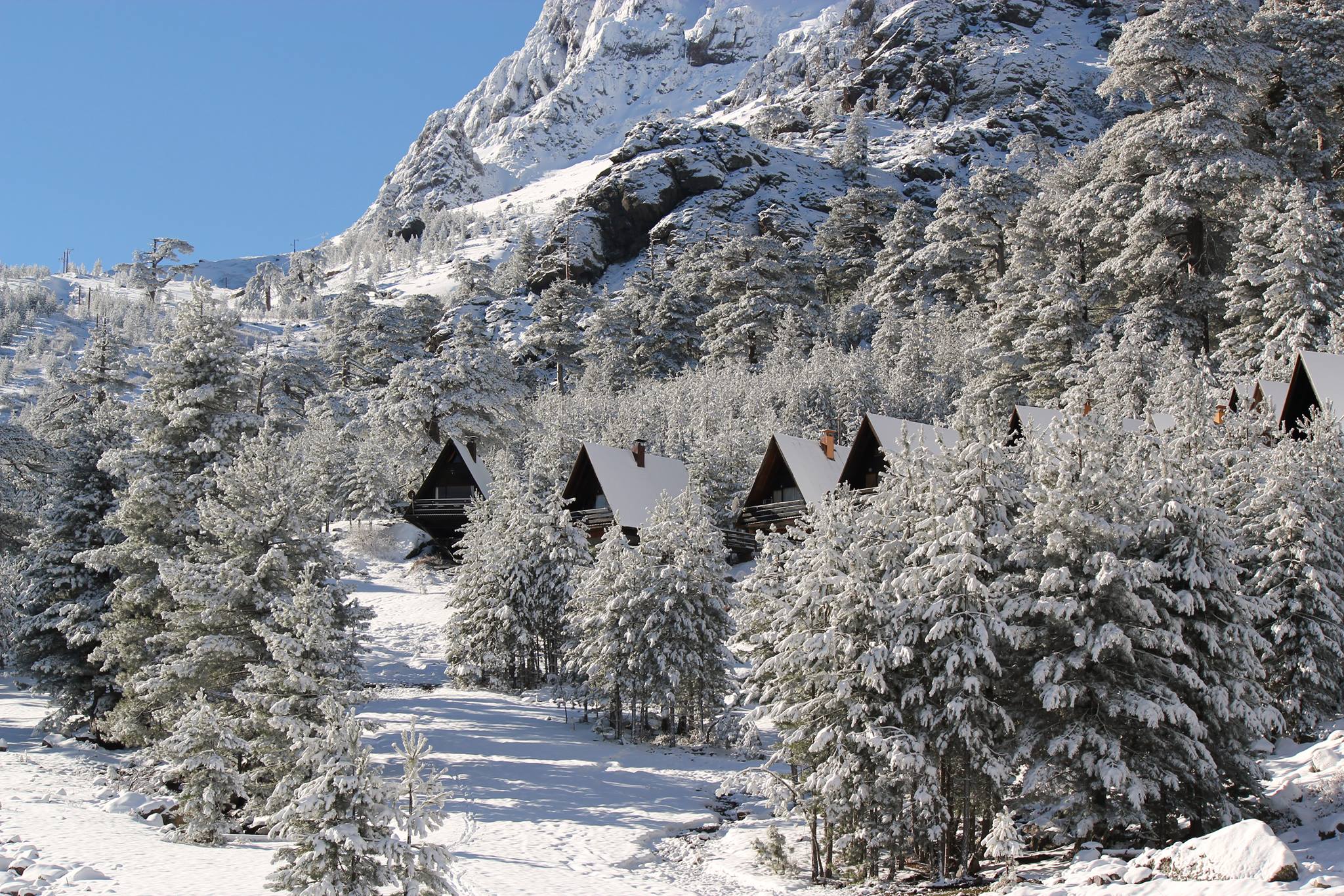 Le chalet à Asco