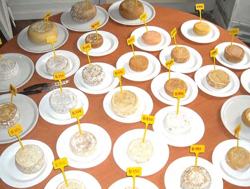Concours du Fromage Fermier Corse  ©fromage-corse.org