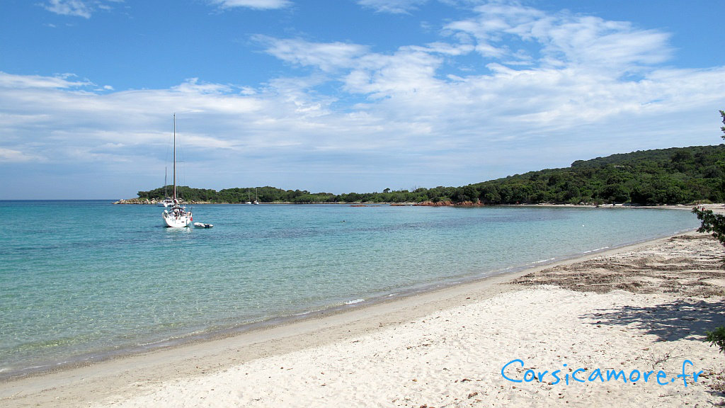 Saint Cyprien seul ©Corsicamore