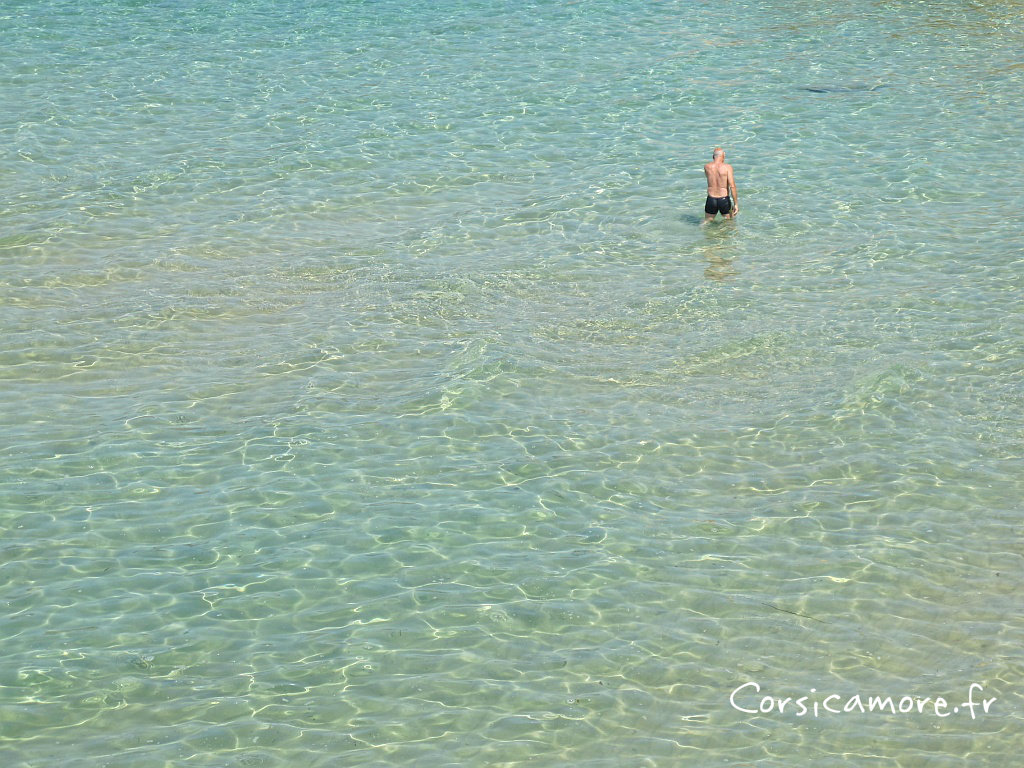 Plage de corse