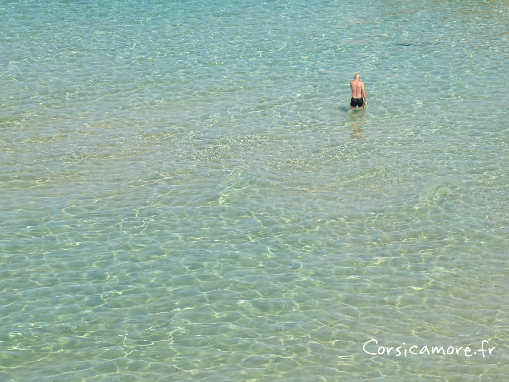 Plage de corse