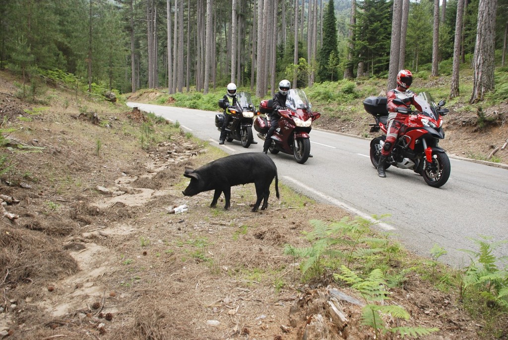 La Corse en moto
