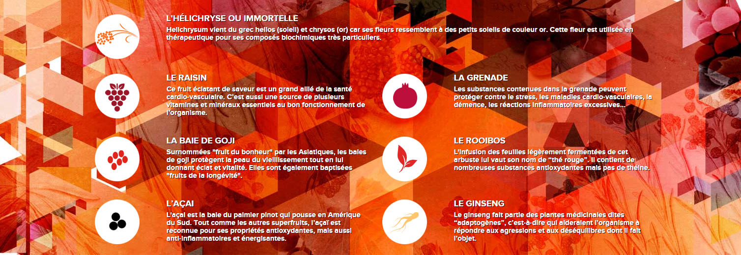 La composition d'Hely La composition d'Hely