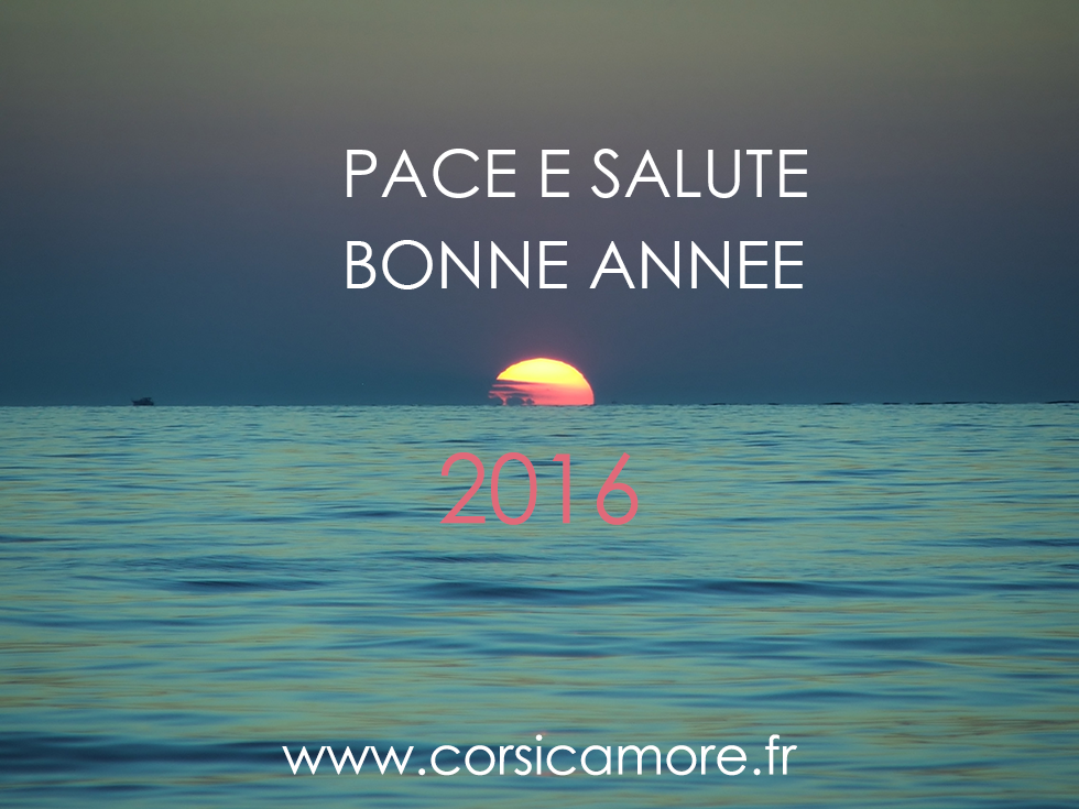 Bonne et heureuse année 2016