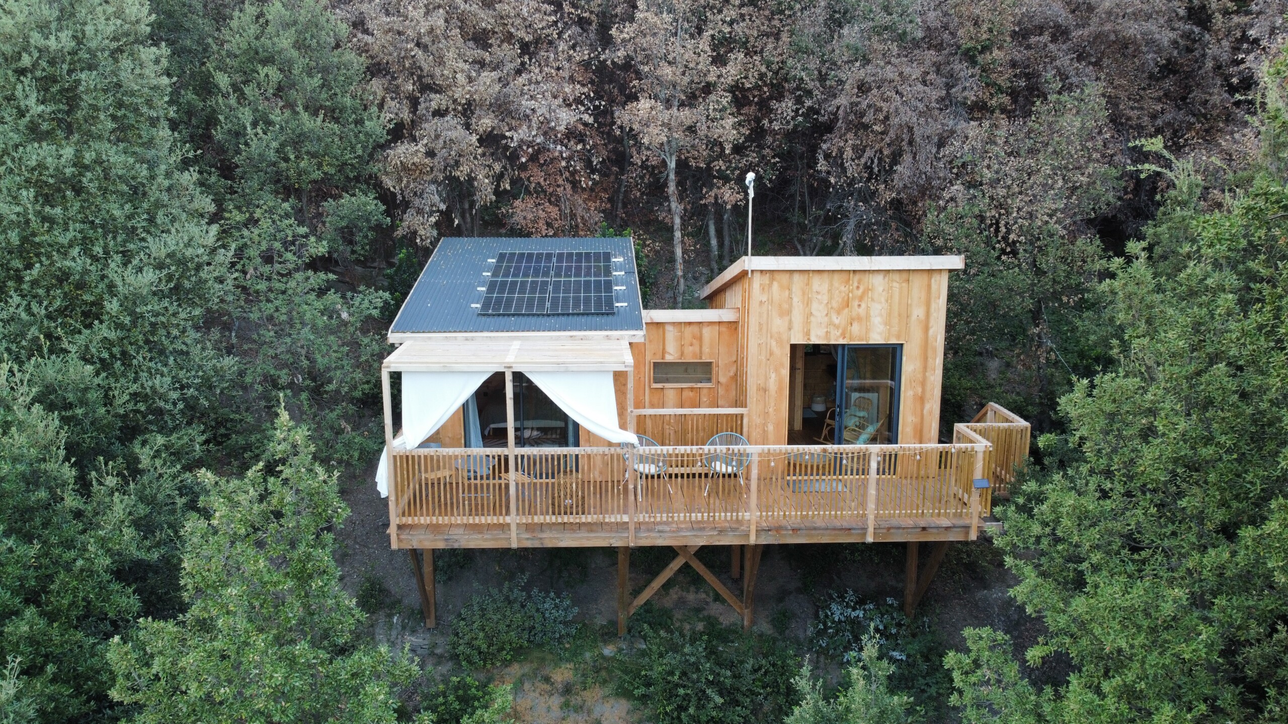 Dormir dans les arbres en Corse
