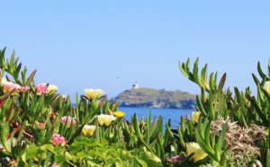 Pourquoi il faut absolument découvrir la Corse au printemps.