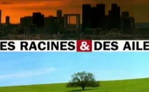 Des racines et des ailes sur la Corse....Mercredi 09 Janvier Des racines et des ailes sur la Corse....Mercredi 09 Janvier