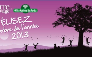 L'arbre de l'année 2013