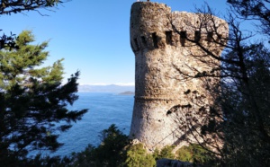La tour de Capo di Muro
