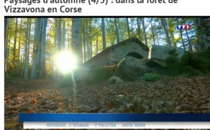 Les couleurs de l'automne en Corse...par TF1