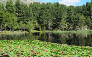 La randonnée du Lac de Creno