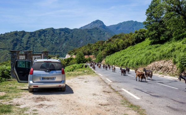 Des rencontres sur la route